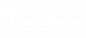 olsonlandbackground Bar3