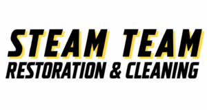 Steam Team logo 4